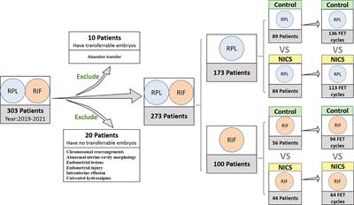 Noninvasive Chromosome Screening for Evaluating the Clinical Outcomes of Patients With Recurrent Pregnancy Loss or Repeated Implantation Failure